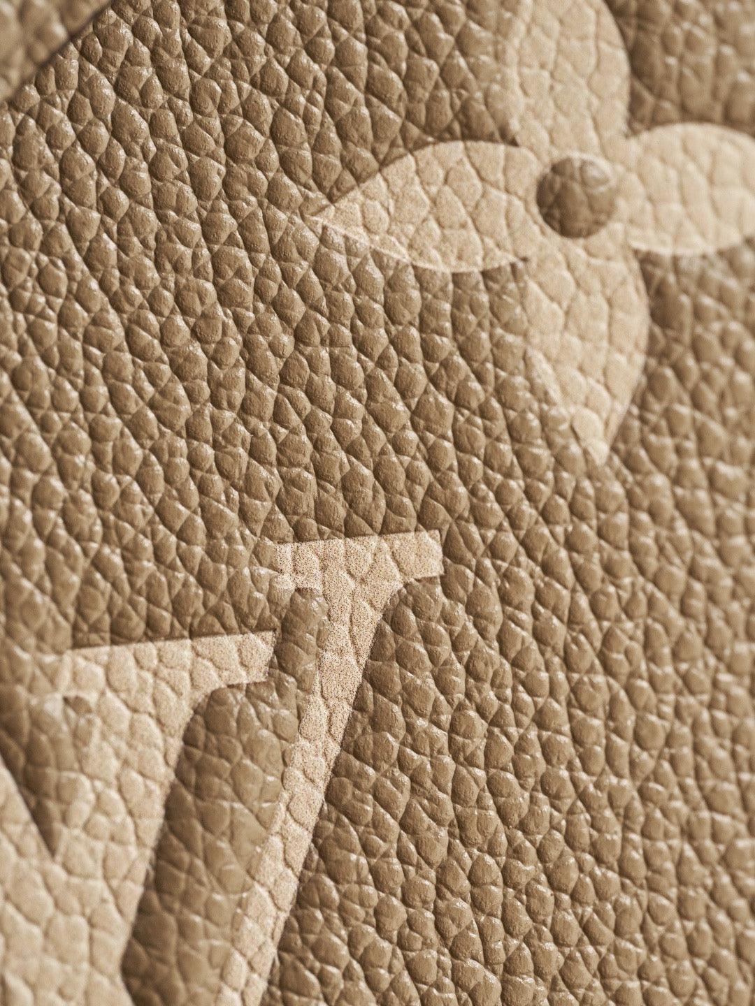 LV NANO NOÈ MONOGRAM