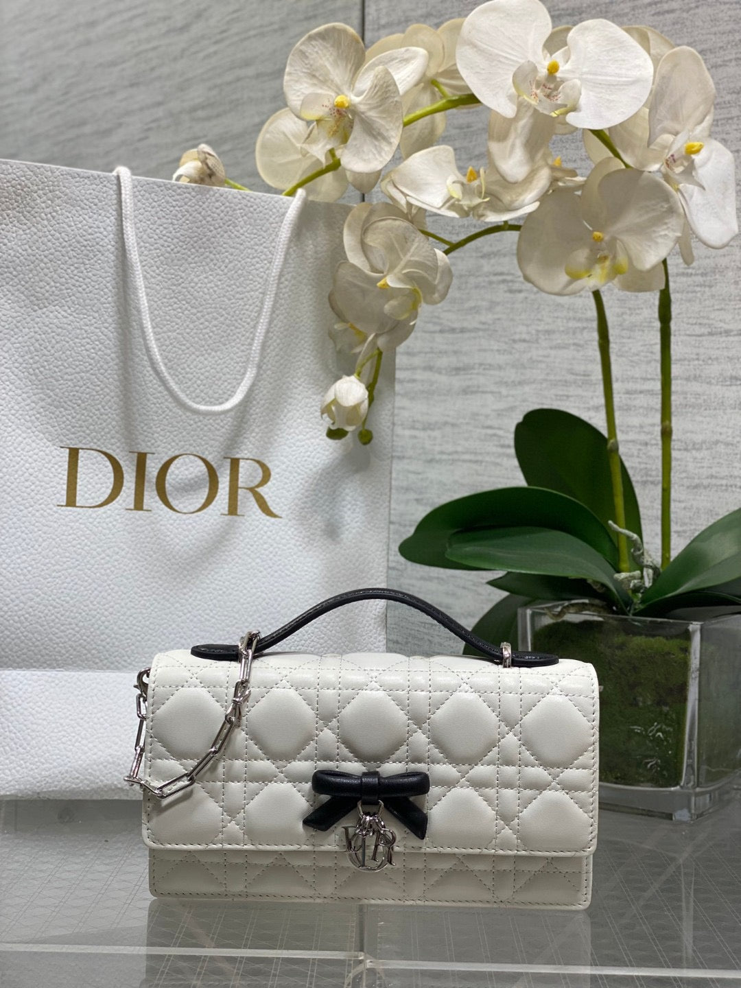 DIOR MISS WOC