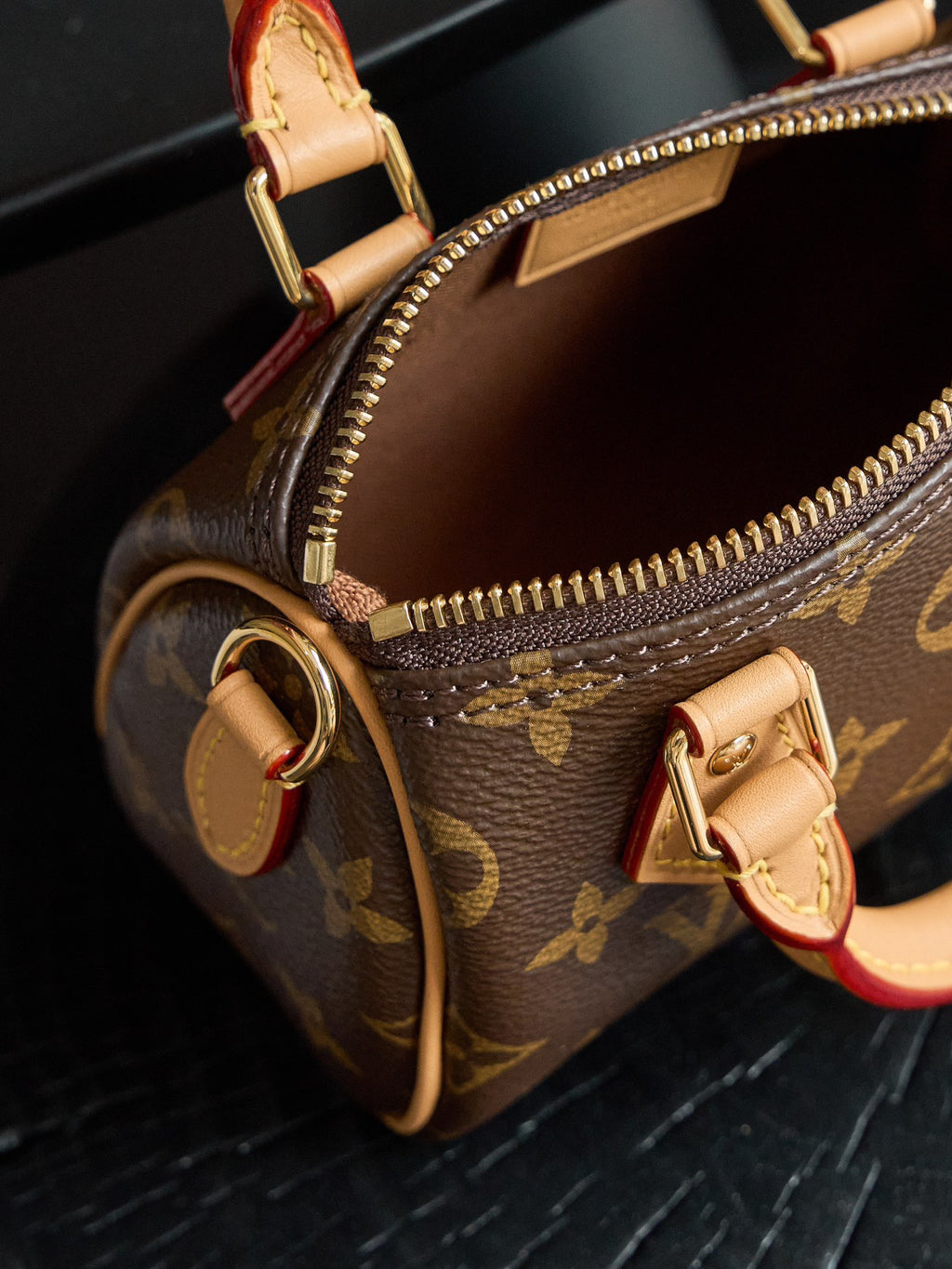 LOUIS VUITTON NANO SPEEDY
