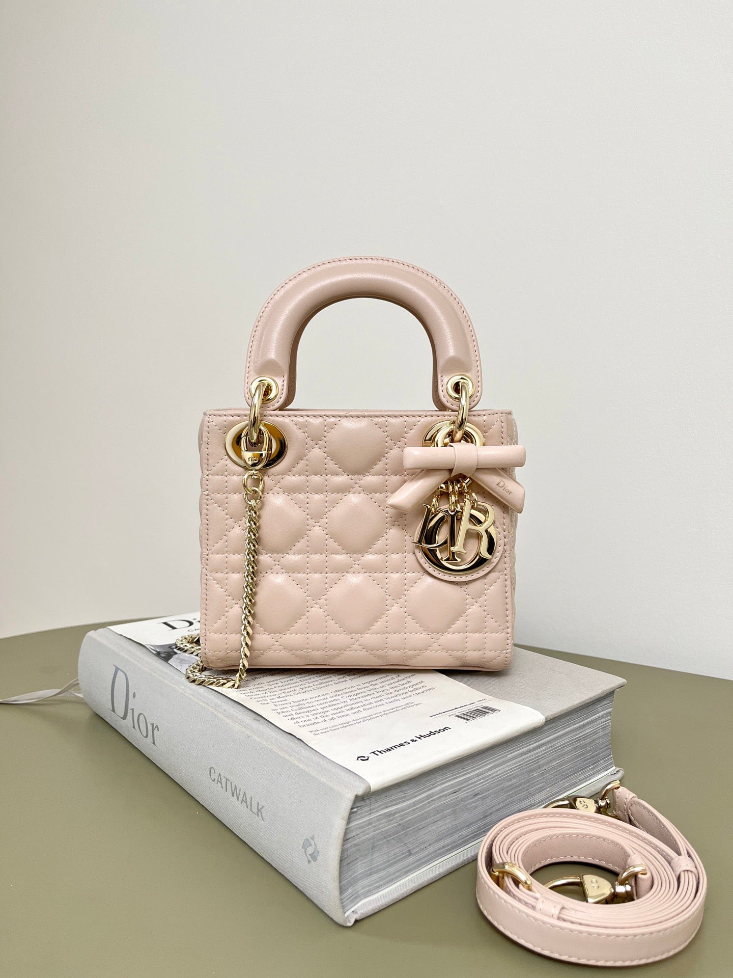 DIOR LADY
