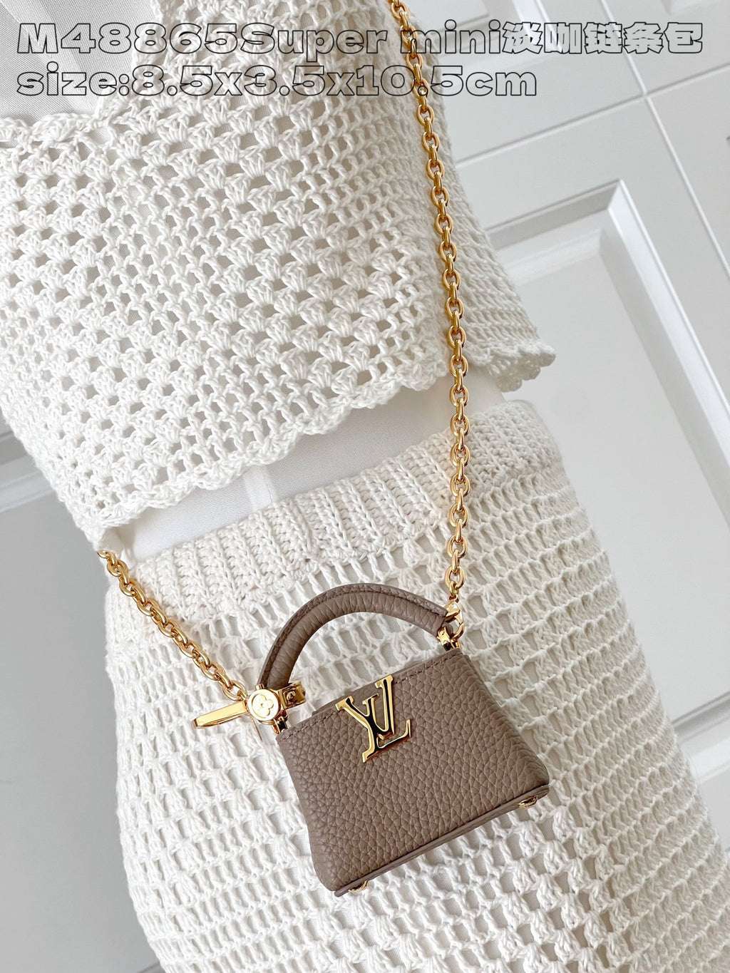 LOUIS VUITTON MICRO