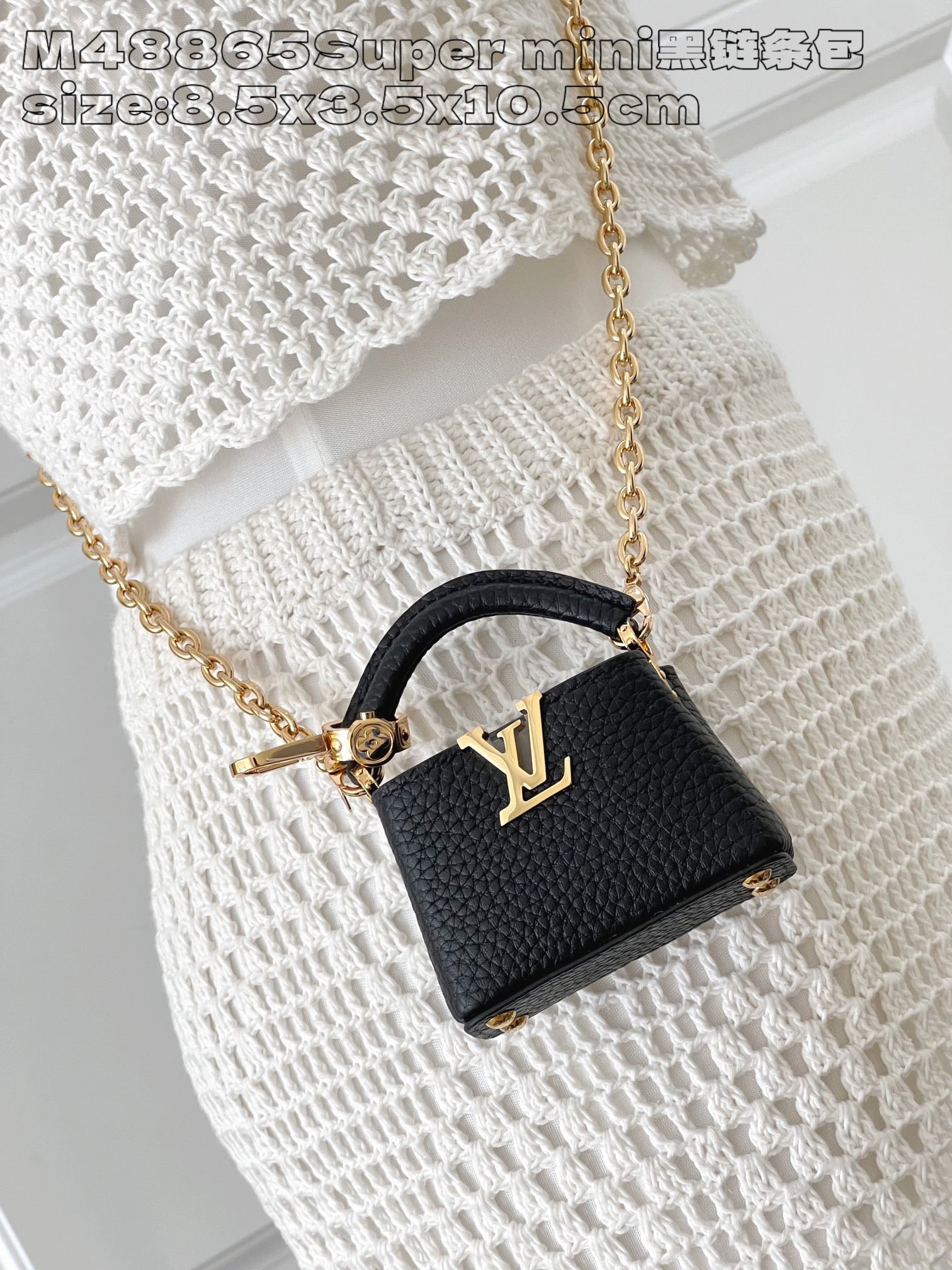 LOUIS VUITTON MICRO