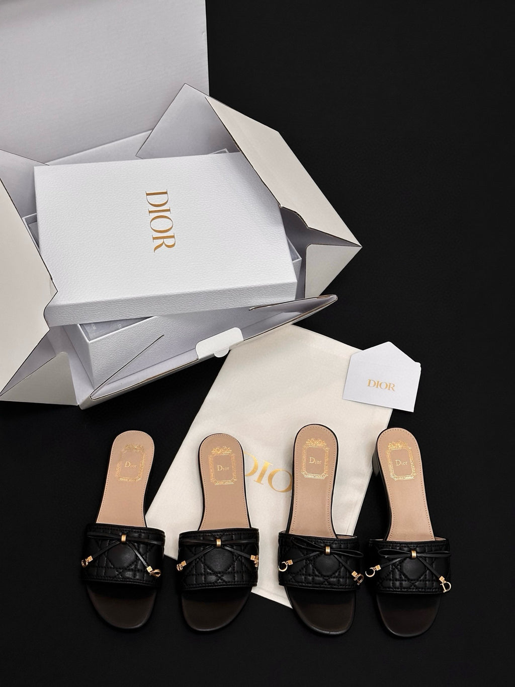 DIOR Чехли